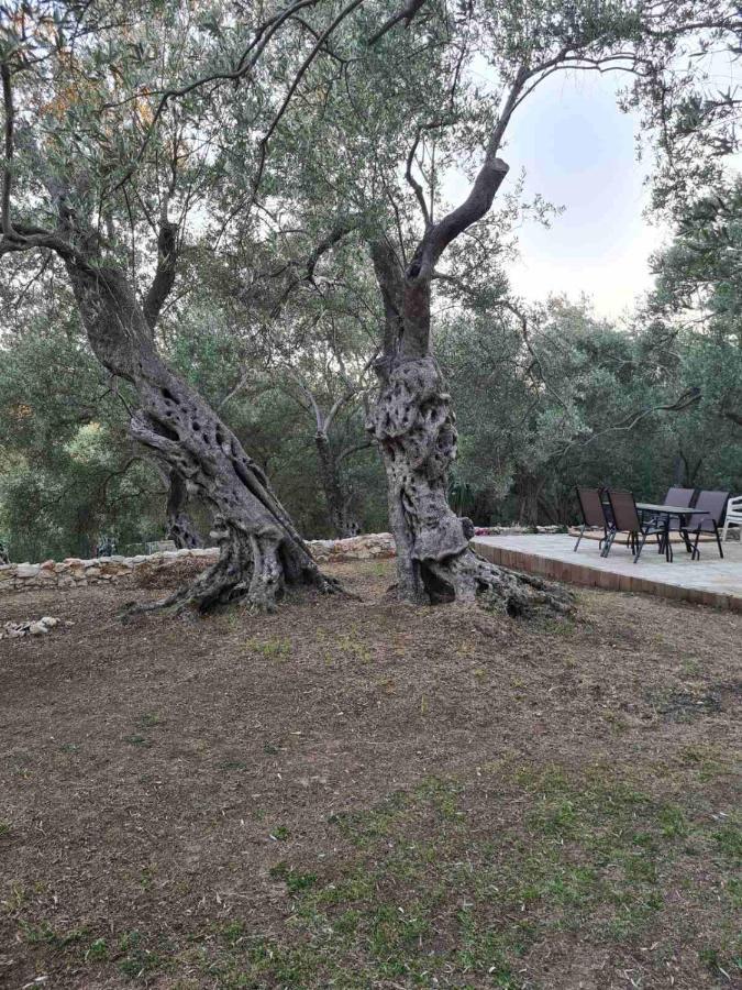 Olea Cottage Ulcinj Esterno foto