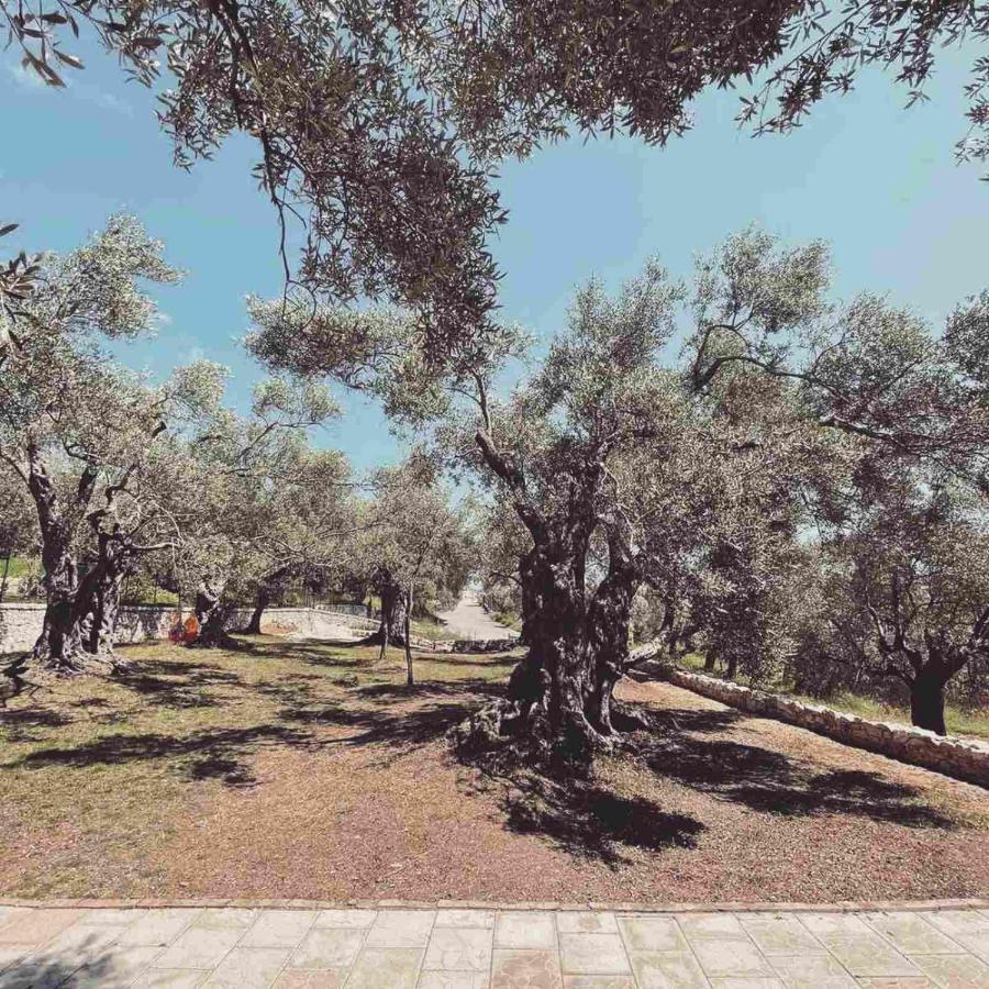 Olea Cottage Ulcinj Esterno foto