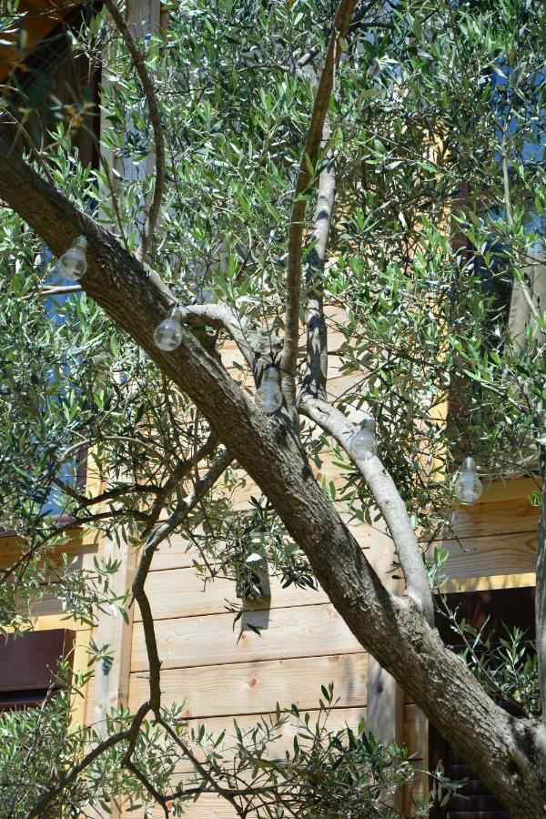 Olea Cottage Ulcinj Esterno foto