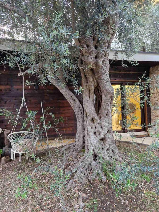 Olea Cottage Ulcinj Esterno foto