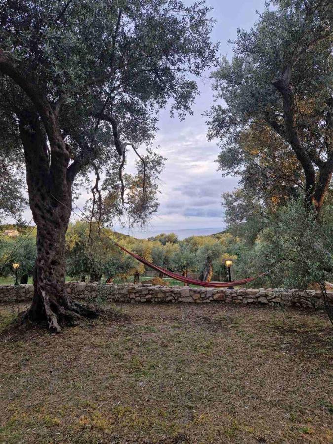 Olea Cottage Ulcinj Esterno foto