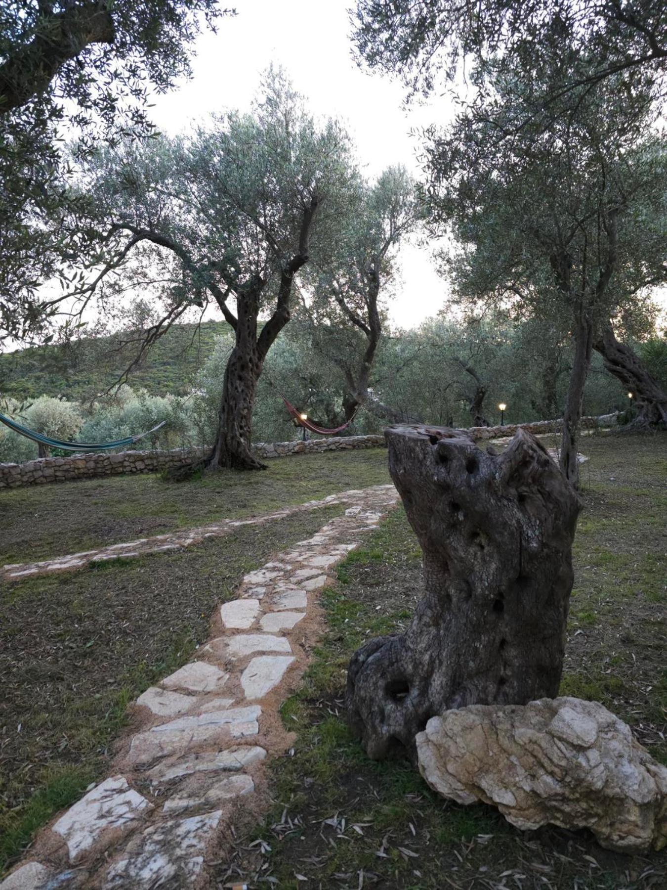 Olea Cottage Ulcinj Esterno foto