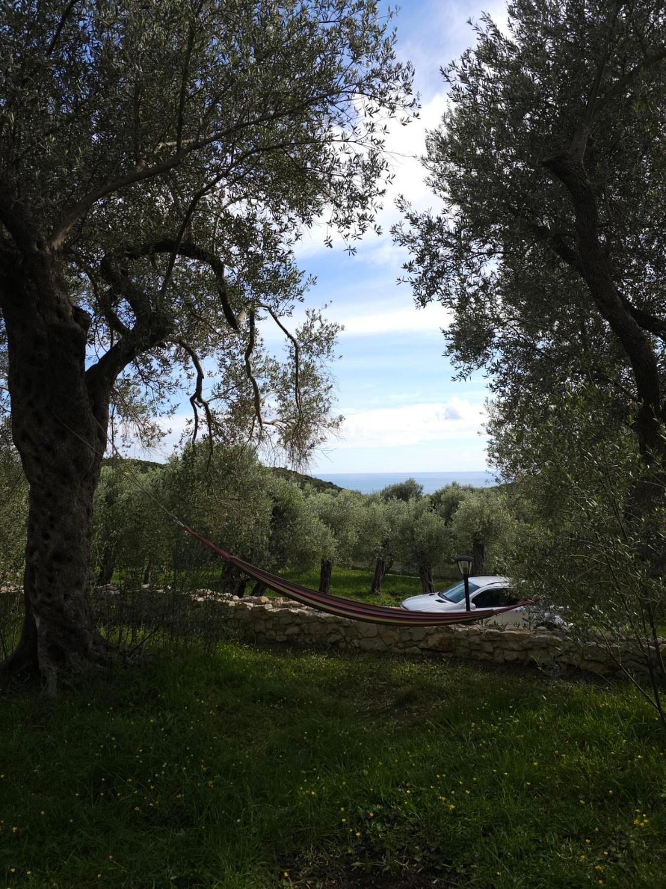 Olea Cottage Ulcinj Esterno foto